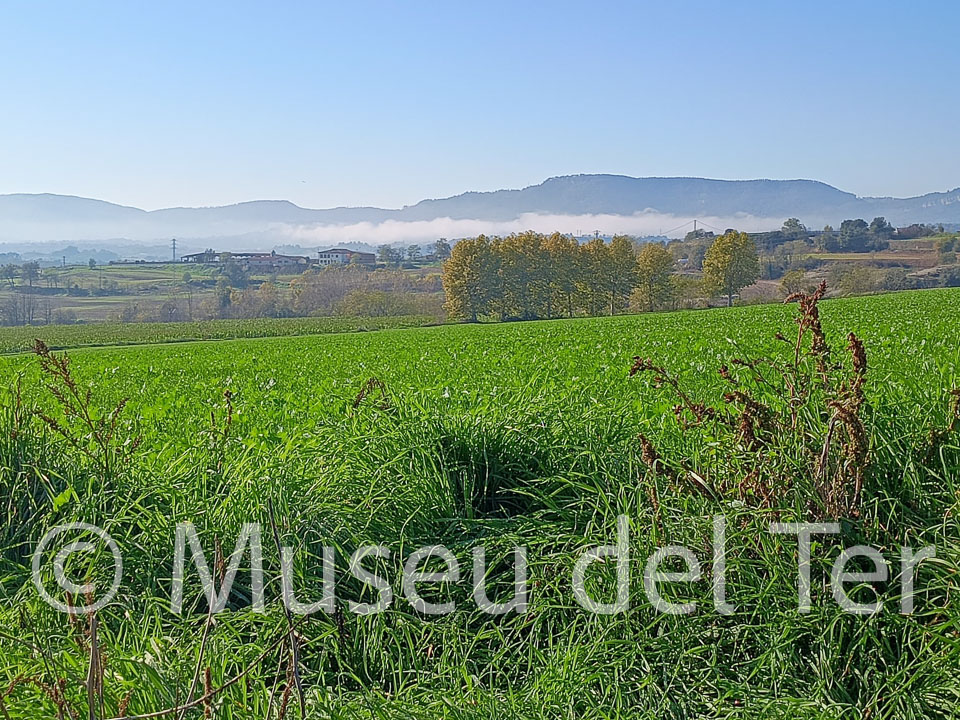 El meu Manlleu Anna serra