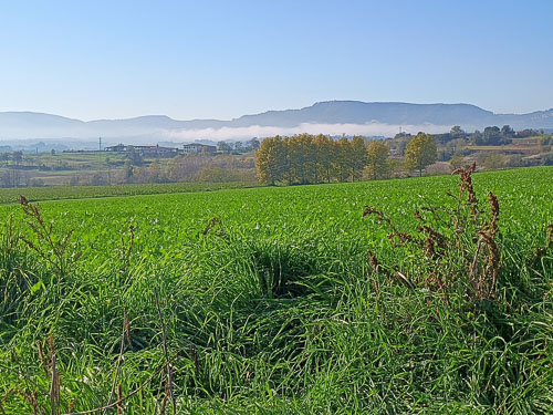 El meu Manlleu Anna serra